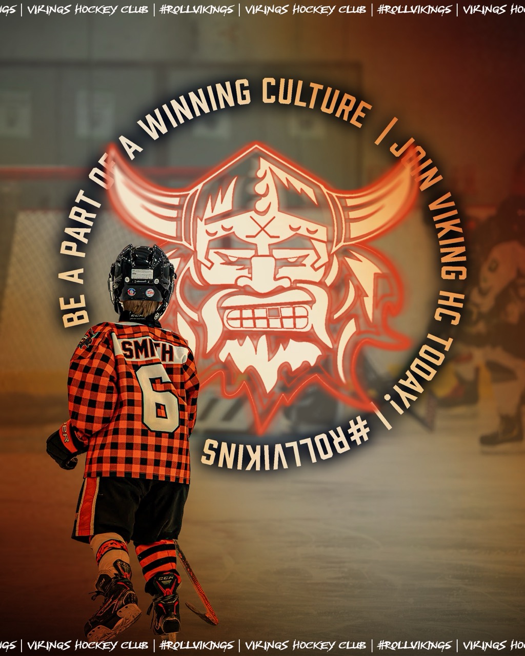 vikings graphic Large